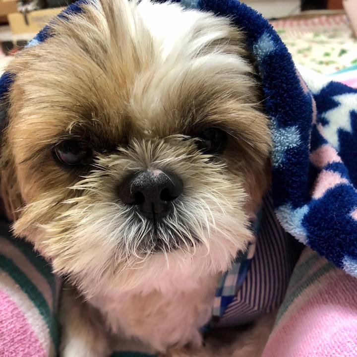 05b6d8f2 814b 4182 8857 051a855d2fe3 1538196776574