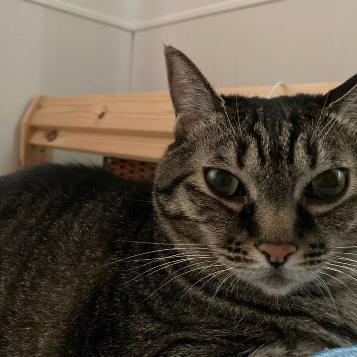 05b70bad 5135 47c4 854f f423a0ee03b3 1695852815954