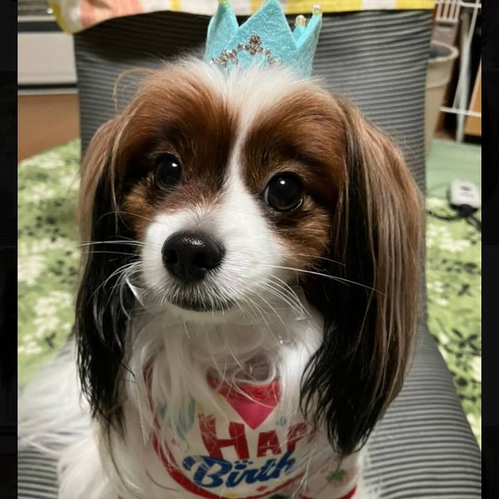 05b713f3 4688 479e 8a28 b01d58c3546d 1705678472477