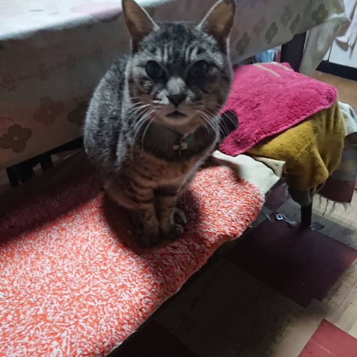 05b760dd 6cea 4874 b0d1 6f39a257d4c2 1557259980118