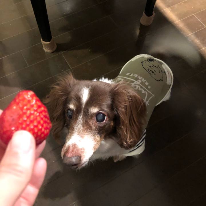 05b781f1 5094 420b 9207 a99298800a38 1551791635627