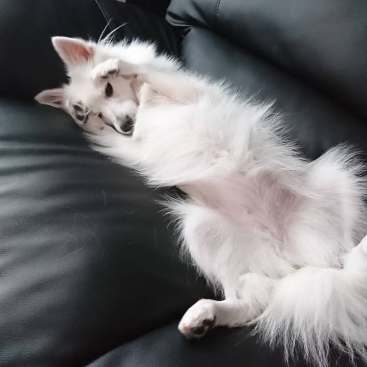 05b79b27 a5ac 493c a901 09aa9aa9f39a 1535432325416