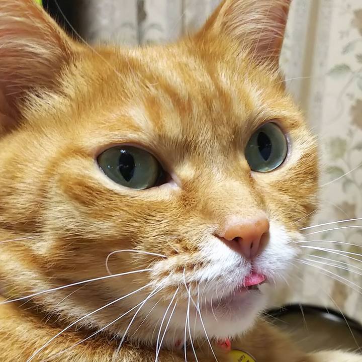 05b7abd0 5435 4775 a800 4171ebc7e78f 1567598265737