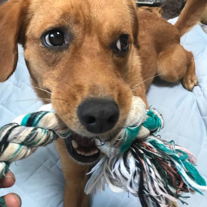 05b7c70e 4a3c 424b a981 7d6e03f479d9 1534114953833