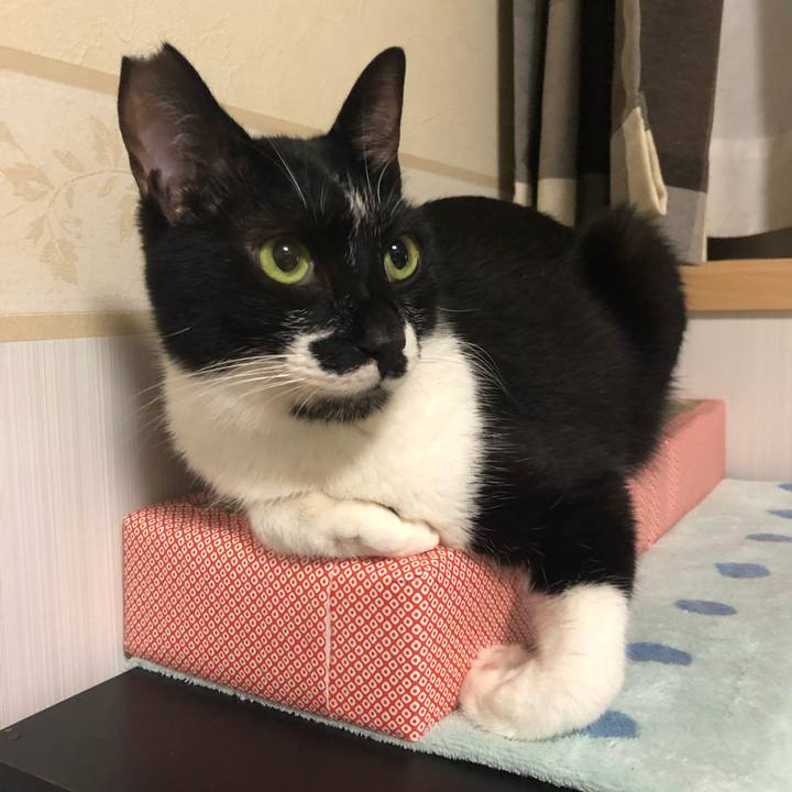 05b7dd57 e8ba 4626 86bd e9a7eb0dde9e 1562187079870