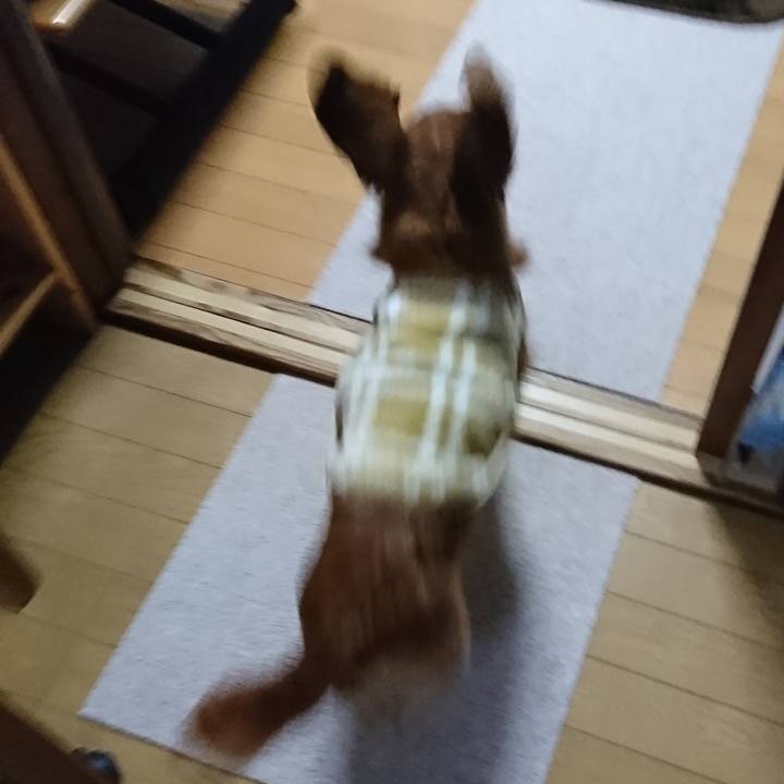 05b80f96 3025 423d 9859 1cd692dcb013 1628096609407