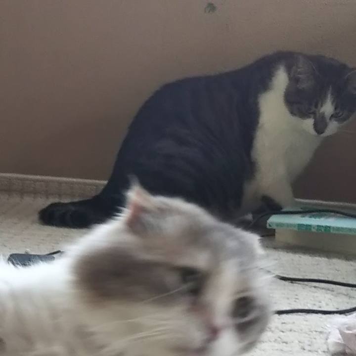 05b8299b 2974 455e bc88 9fee67bebf20 1624754445474