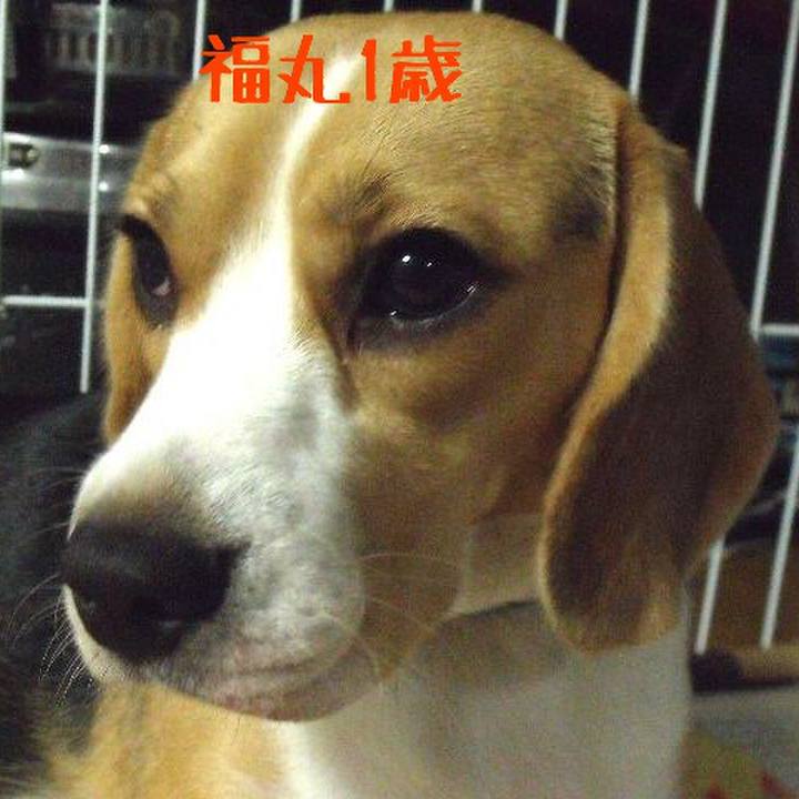 05b846cc bd68 4b62 92ba 1ecabc880f93 1509519540155