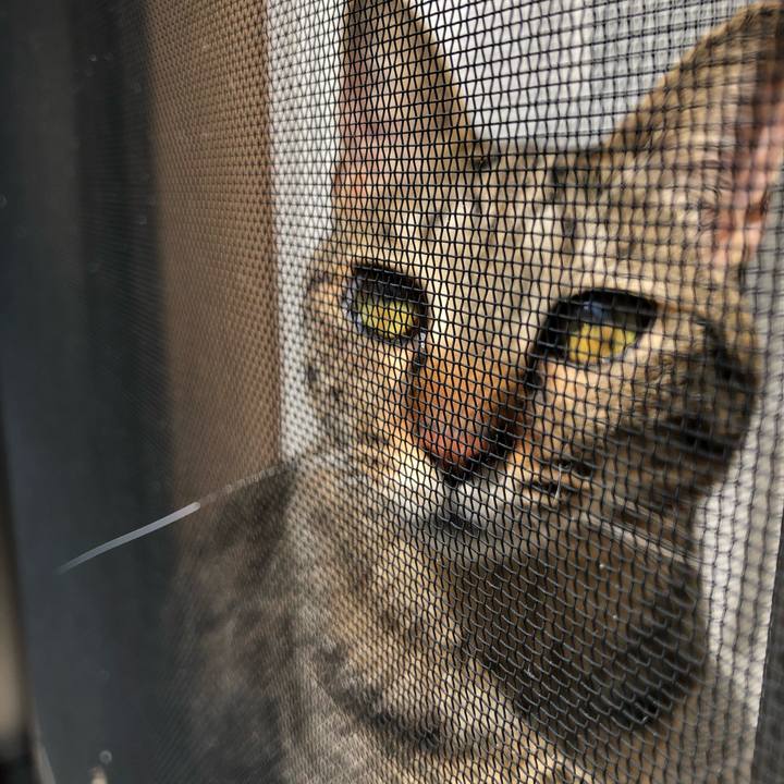 05b89324 e063 4b3b b35e 6fac7987048f 1522205711003