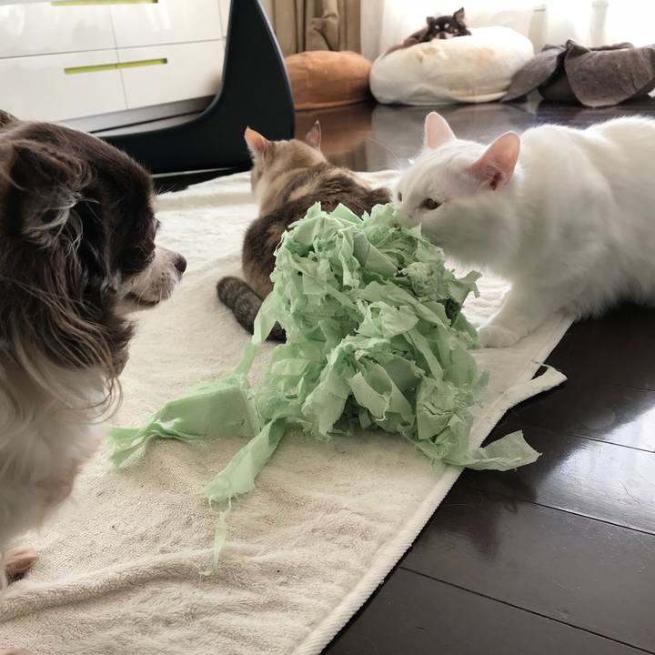 05b8b839 7ecd 4741 9d77 53cdcea7740d 1522209708653