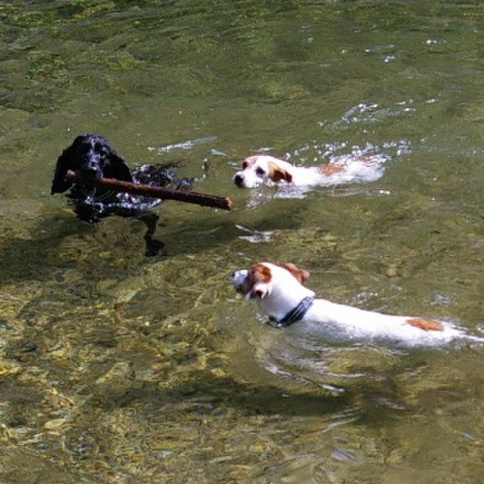 05b905f1 61a2 4865 9ad3 898577eae42d 1522301079178