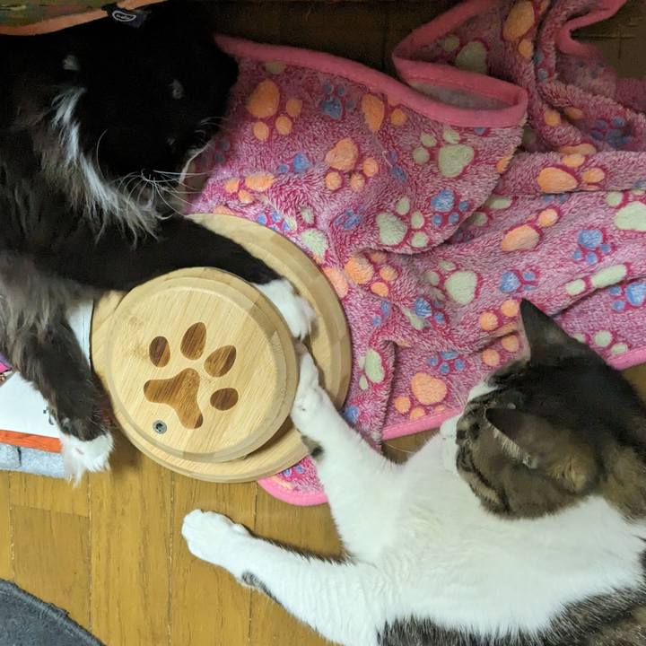 05b90c5c 7eab 4339 8d4a 5773e4c6e735 1712706263818