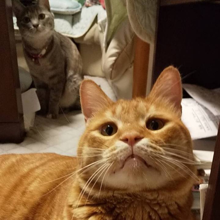 05b95ae7 3a8f 4420 85f7 5c21ddcb5257 1595766317695