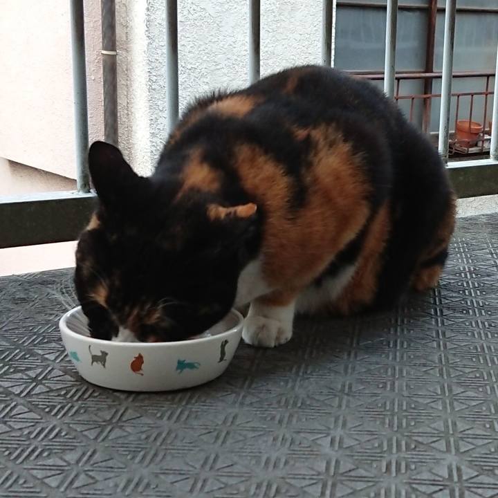 05b972a2 191e 4483 b89e 7e65ab79cd1a 1667632032988