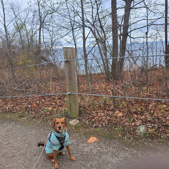 05b97f15 7654 4a69 9129 0e1dd48e729e 1763433411789