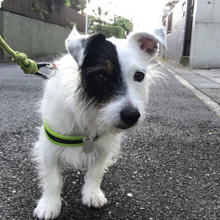 05b98ce4 5d36 416c 9bbb d6999186a795 1532823262399