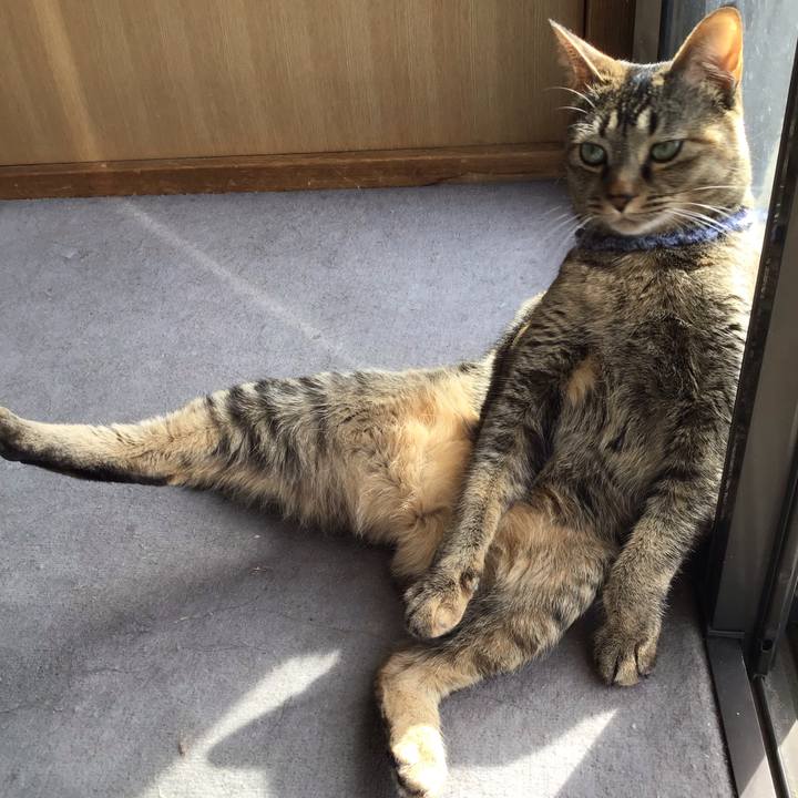 05b9cec7 4620 40bc a410 fdfedf0c779c 1617062354929