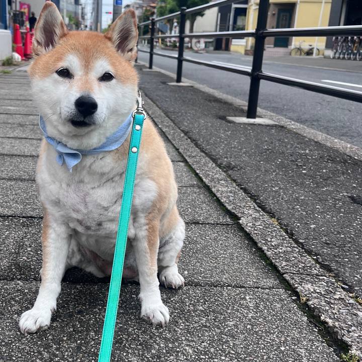 05b9ebe9 9bb2 4061 bd9b 1a0228ced411 1718500563120