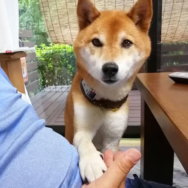 05ba1667 ba41 48c1 a2de 835ea22dd1d0 1656760730953