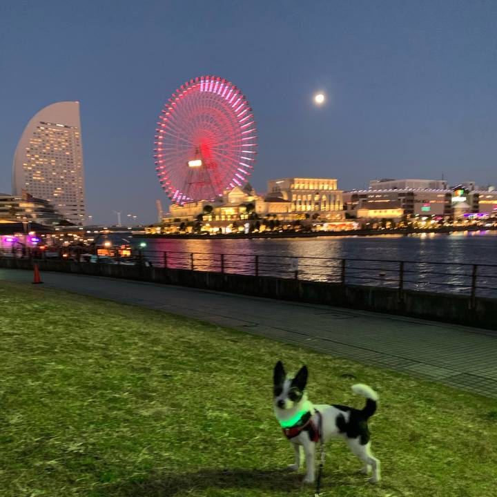 05ba1b33 c658 4a3f 8ff3 c1381cc61f67 1639826586127