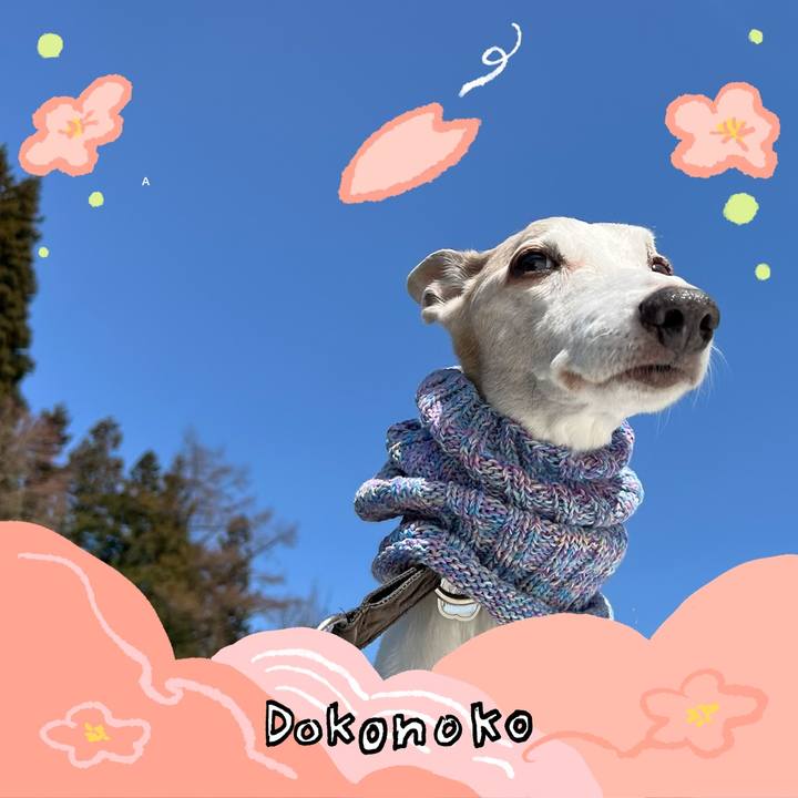 05ba3606 376a 43cd ba41 dc9b97807242 1775808966090