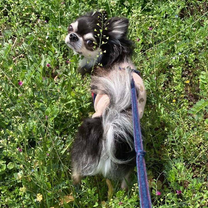 05ba3c3d c91e 4897 b126 b84d8c1ee46b 1712486099927