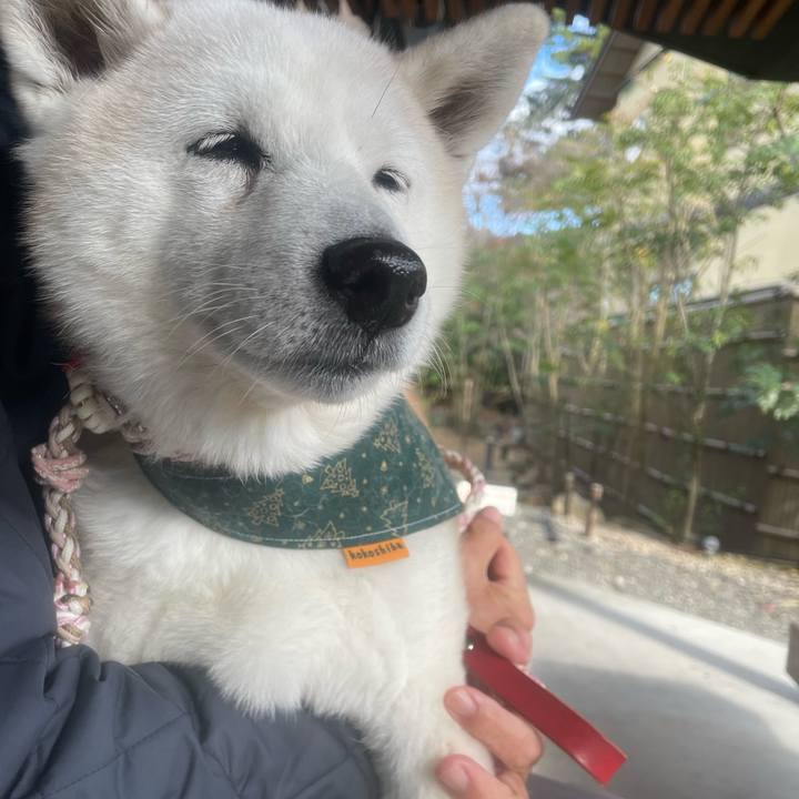 05ba647d 804c 4a0e 87e7 1f230f85a591 1703165205972