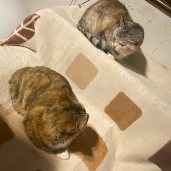 05ba68c4 3a22 4678 9ad0 6172ea67083c 1681646571742