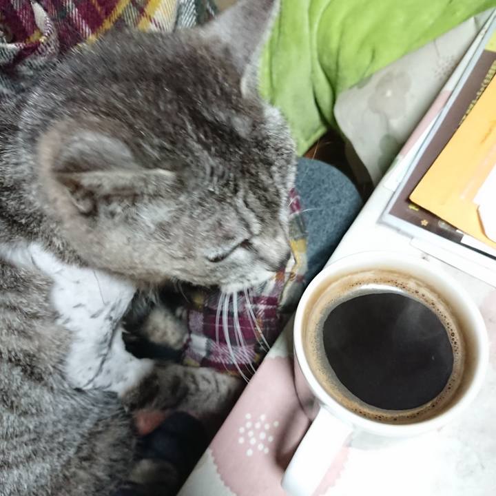 05bb322a 4472 43ab 8a00 3a6733dde7cd 1589055434938