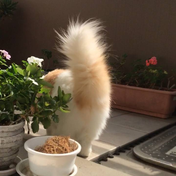 05bb70d3 db1c 49e7 988a e7179f926347 1540022569307