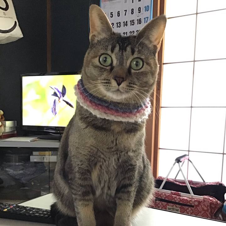 05bb948b 1ea6 4298 a3ba 17ac271757d4 1619418611183