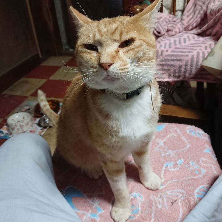 05bba1dc 94e6 4317 8a2f b0465796063b 1590609778180