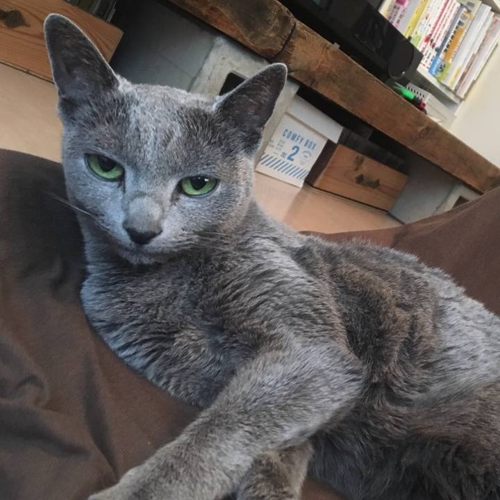 05bbcc3b a89d 4761 b210 0ebbfc512f4f 1552797684222