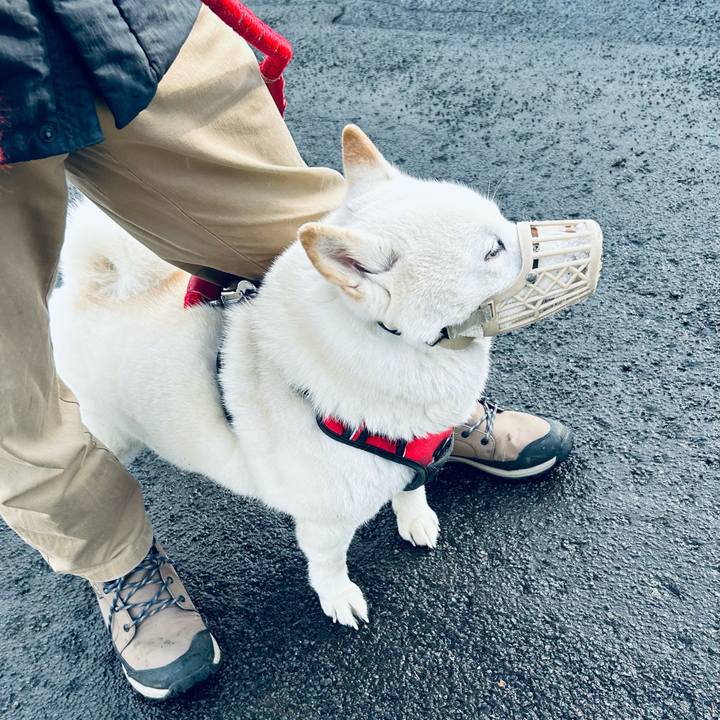 05bbeb87 6bbc 4627 be1a 17f0e7e9ecd6 1711750128883