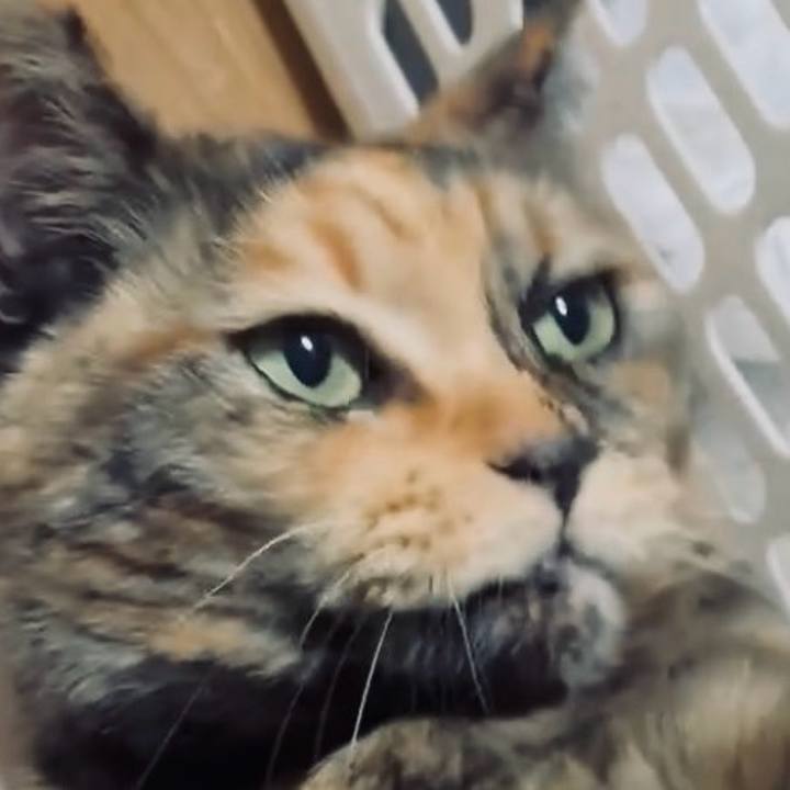 05bc1897 f250 4eb4 8656 e0b4f91374c0 1769547579740