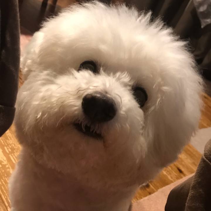 05bc2ca7 a3af 4d10 a1e4 95a007d7f2d3 1593264944599