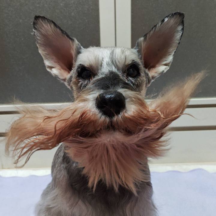 05bc4c0f fc85 4449 b609 bc995a2755fe 1758806464140