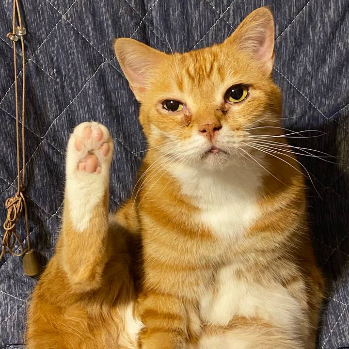 05bc6134 84cf 4978 82d8 8b3957f2ac15 1620476500150