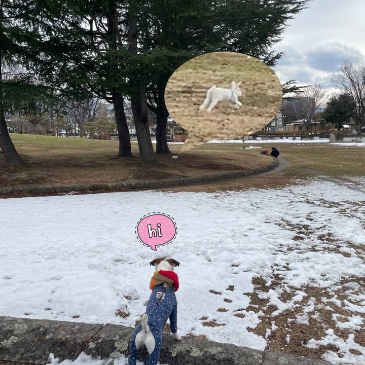 05bc6bcc 1aed 44f1 a5da af87b2be3e22 1645271094588