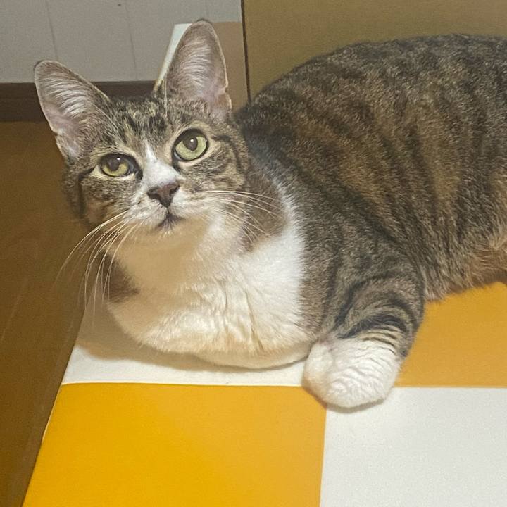 05bc6df9 f9a4 4ca2 9799 2686c5130bf4 1718895403018