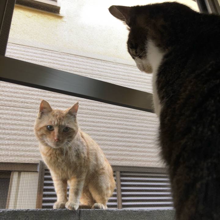 05bc8b32 4a3a 408e bdf6 6f5a1b578cb3 1522545798518