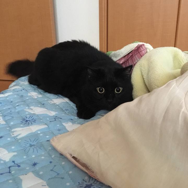 05bcc80f 2979 4ebf 9794 3cad28f4df9e 1539931609627