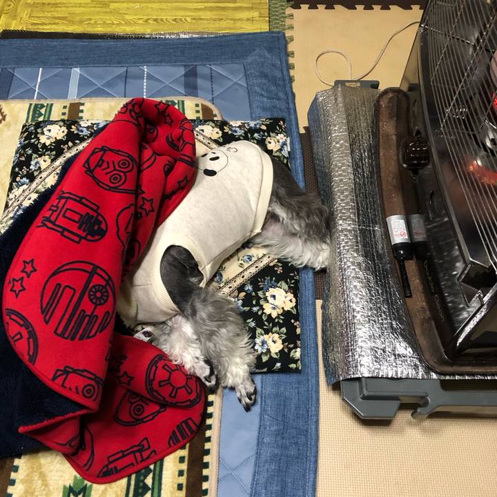 05bce1b9 7230 4149 a78a 5338c928d57e 1672060175273