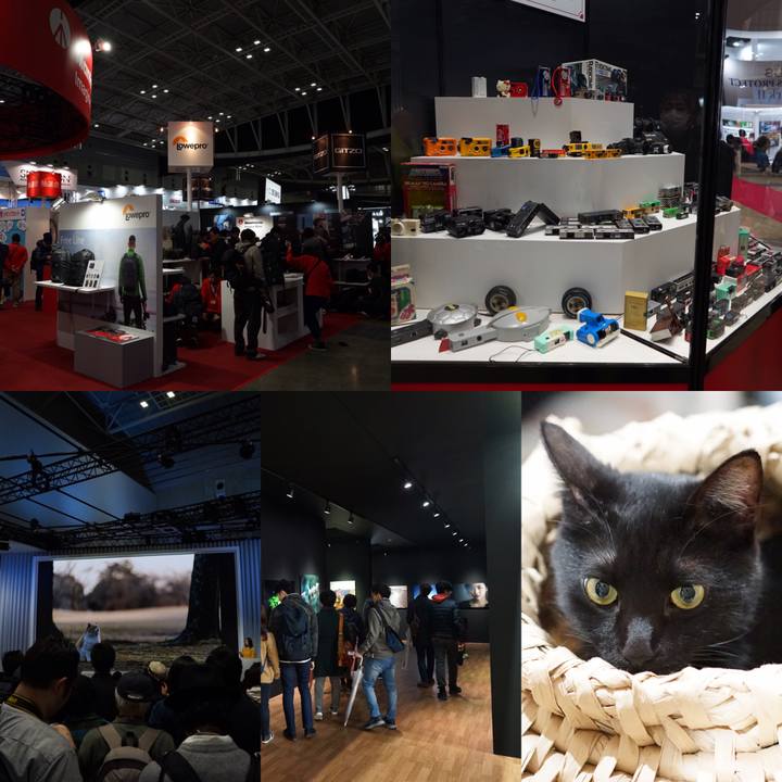 05bcee43 b08a 4570 8382 16e0492779c1 1551618601243