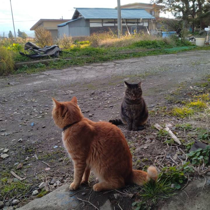 05bd222c 36f9 4e94 a6b0 b96dffc09216 1667636047120