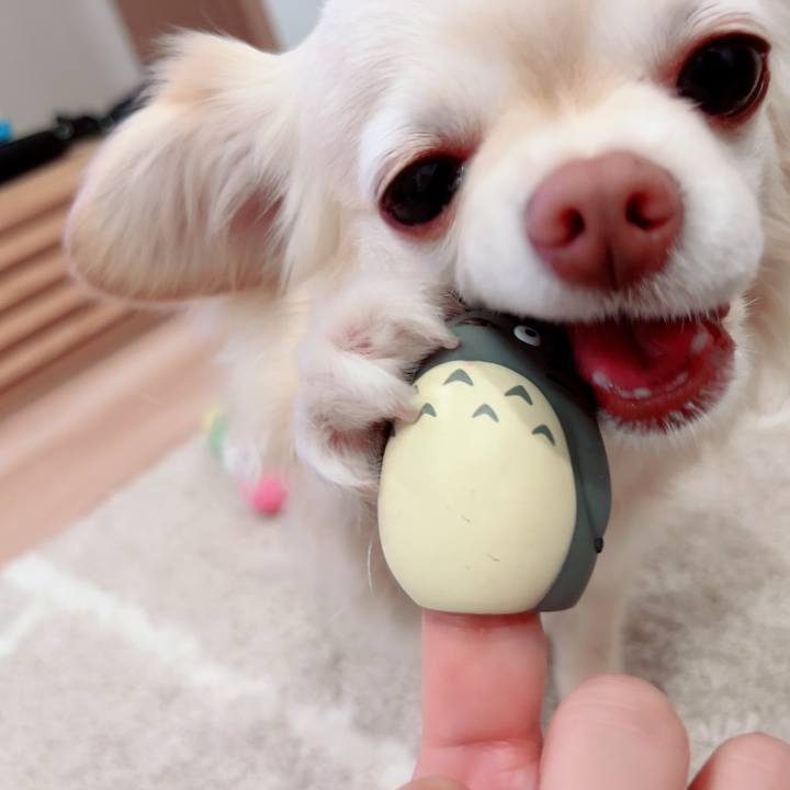 05bd2342 9318 4b6d 9d9f c646366519e1 1711938236315