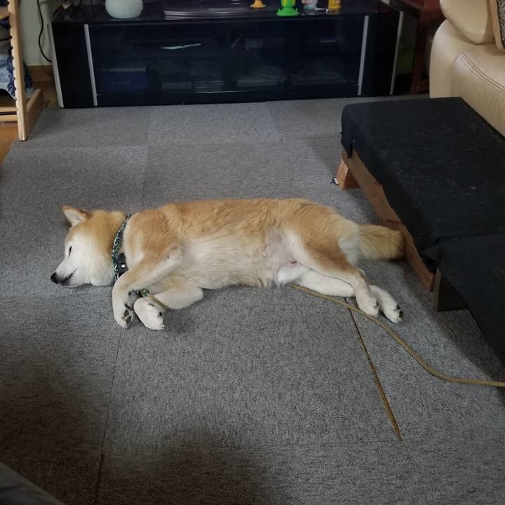 05bd3580 8c3b 4a1b b8a7 74ee8e3f0c70 1702770967602