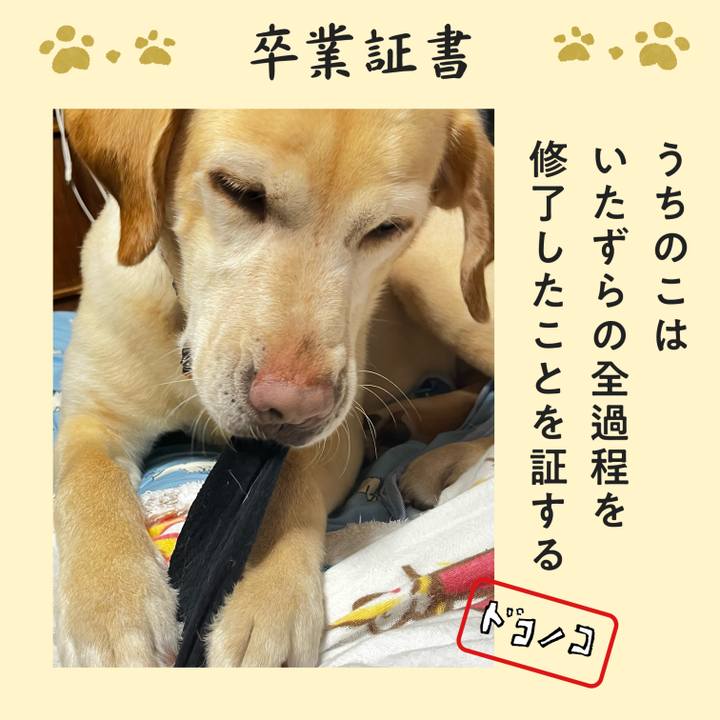 05bd5c29 ec9a 4cdb 8023 bb13777bd9a8 1771885831009