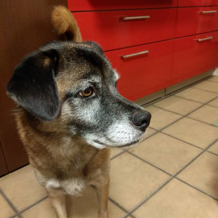 05bd6035 9e37 4d10 b5b1 73f260f4aa27 1688861188379