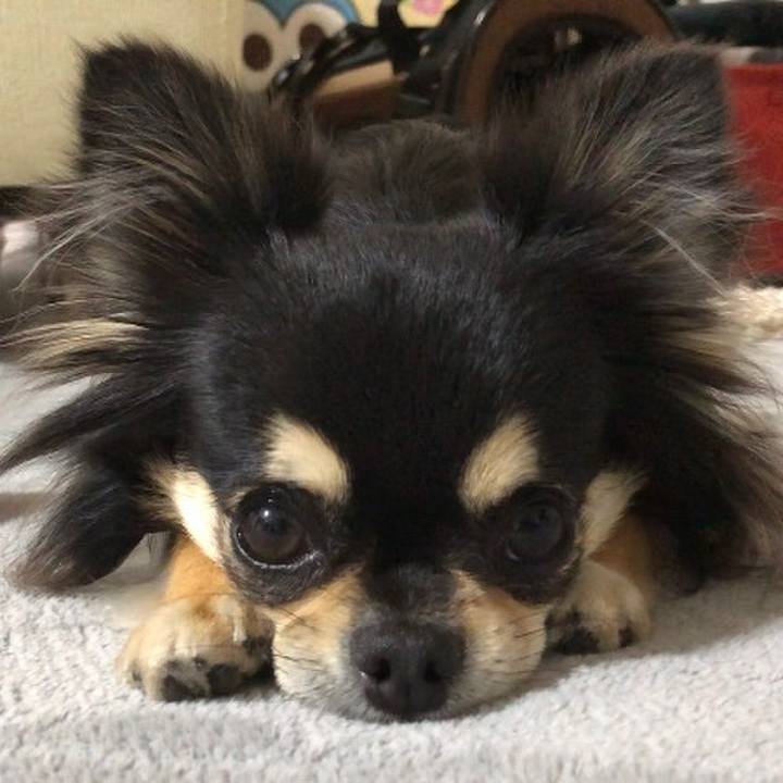 05bd6e4e f49d 4e25 80c0 2d70fb5d1d74 1590956250520